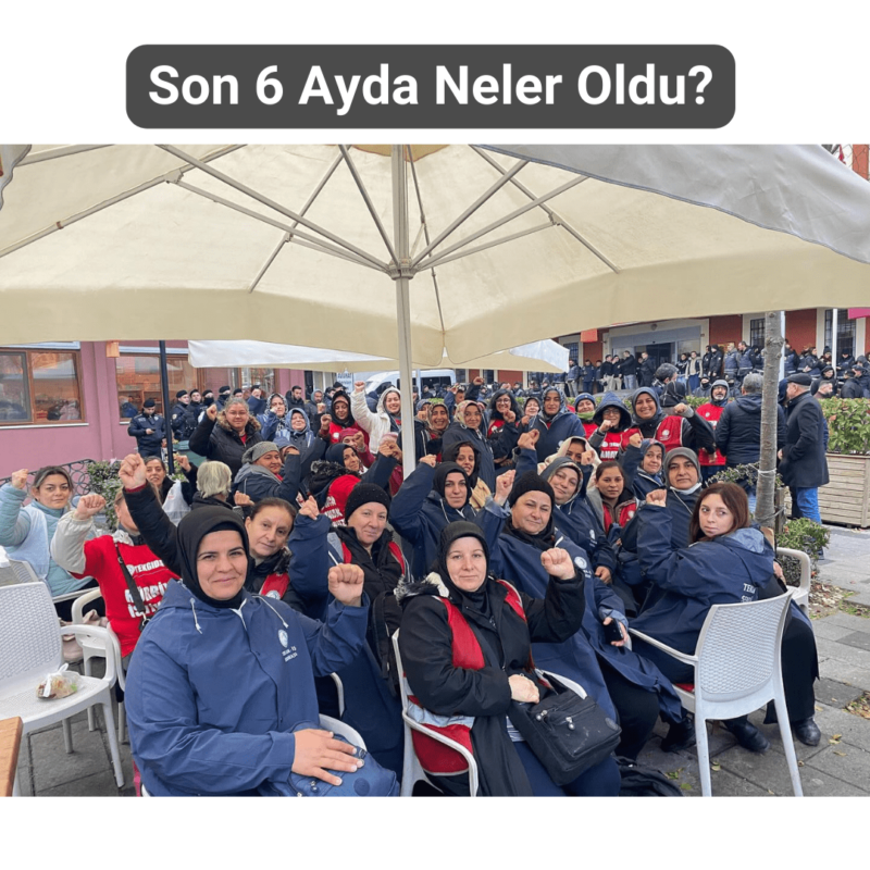Hava-Sen
