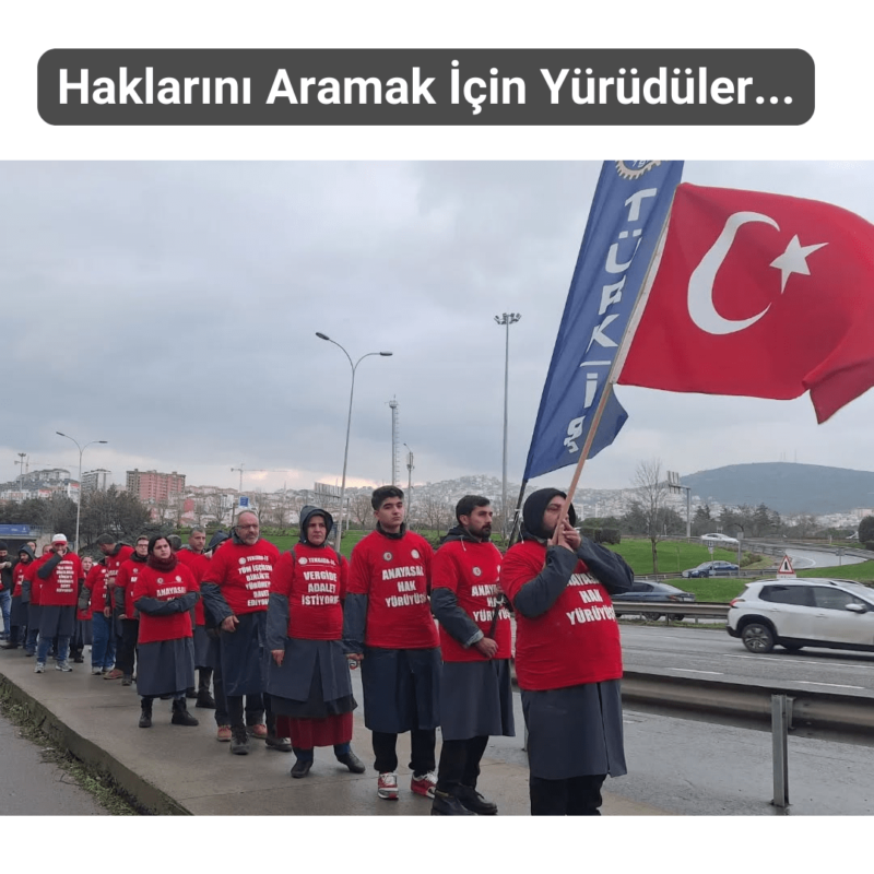 Hava-Sen