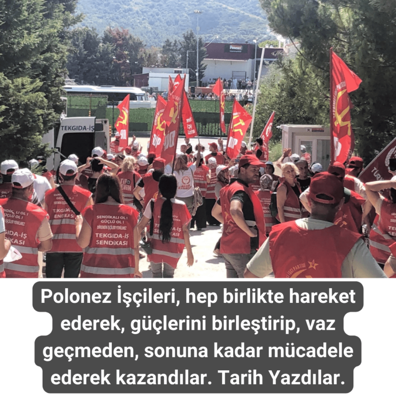 Hava-Sen